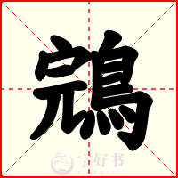 鵍
