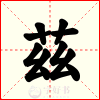 茲