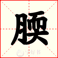 腝