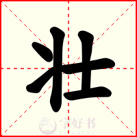 壮