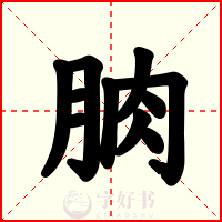 朒