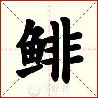 鲱