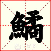 鱊
