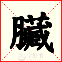 臟