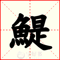 鯷