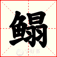 鳎