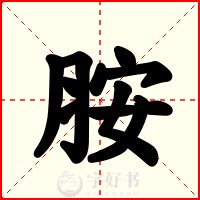 胺