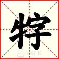 牸