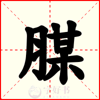 腜