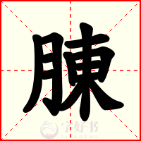 腖