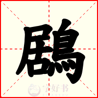 鶋