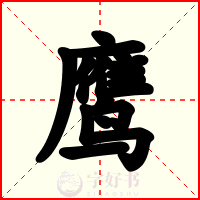 鹰