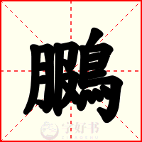 鵩