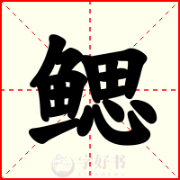 鳃
