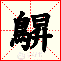 鵿