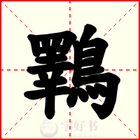 鸅