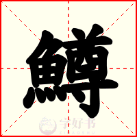 鱒