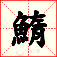 鰖