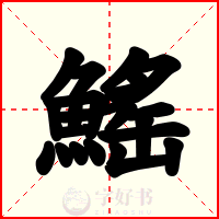 鰩