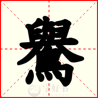鸒