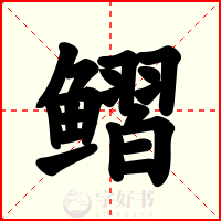 鳛