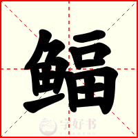 鲾