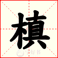 槙