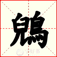 鶂