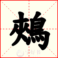 鵊