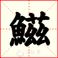 鰦