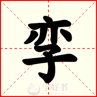 孪