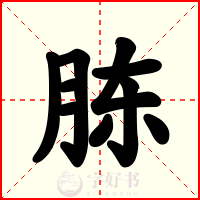 胨