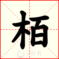 栢