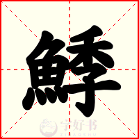 鯚