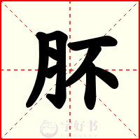 肧