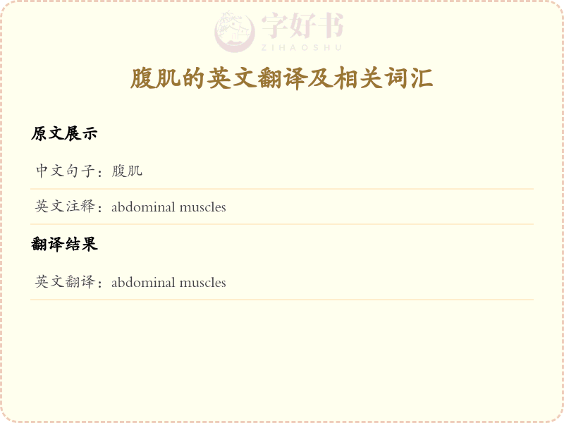 腹肌的英文