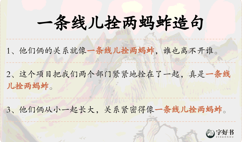 一条线儿拴两蚂蚱