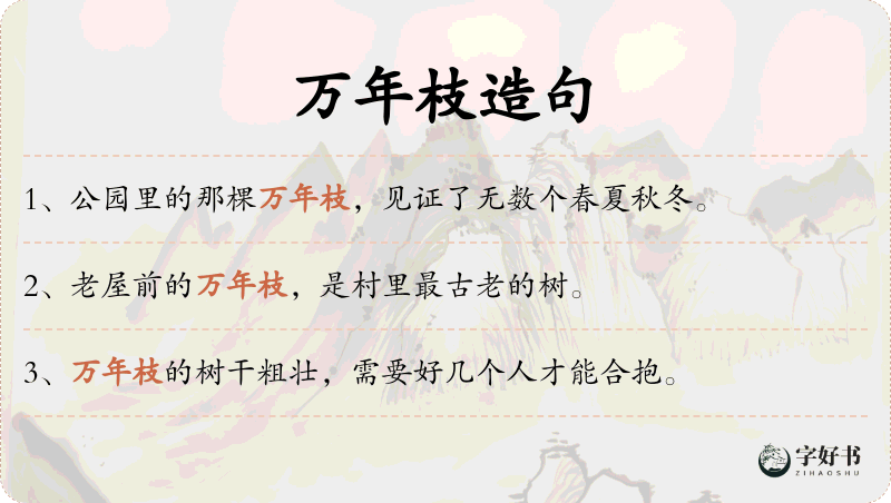 万年枝