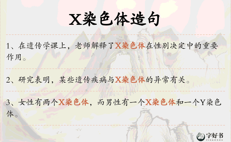 X染色体