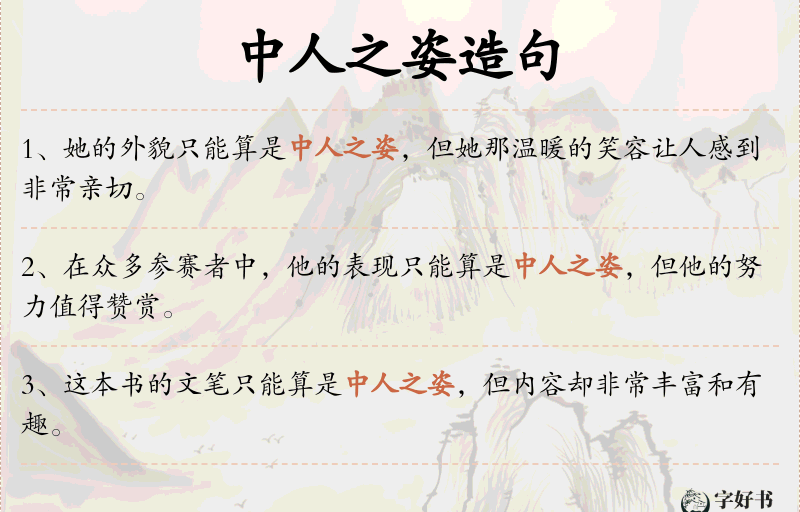 中人之姿