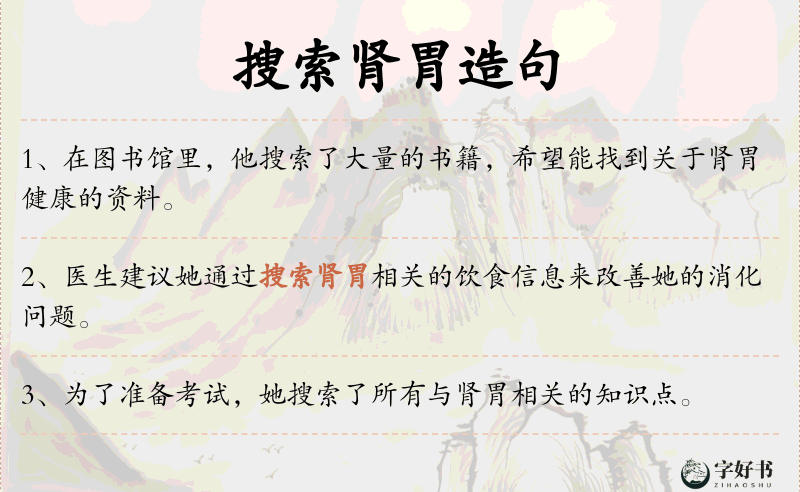 搜索肾胃