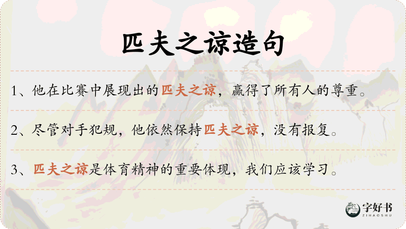 匹夫之谅