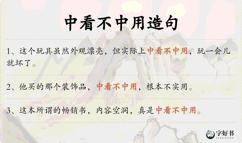 中看不中用