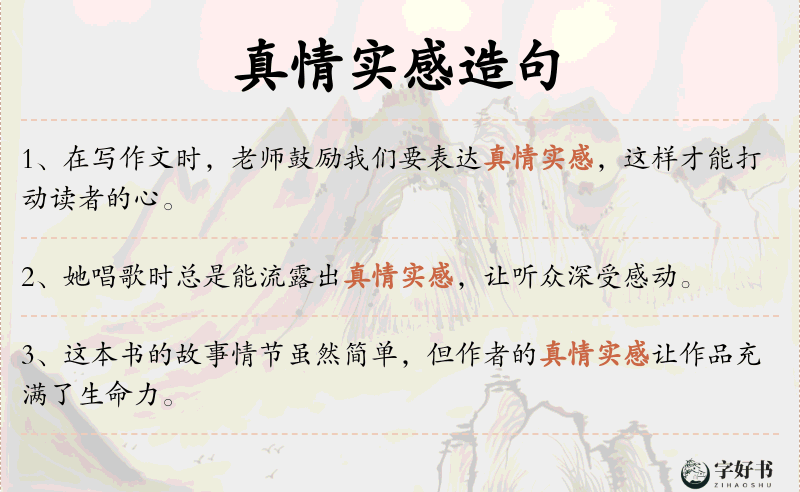 真情实感
