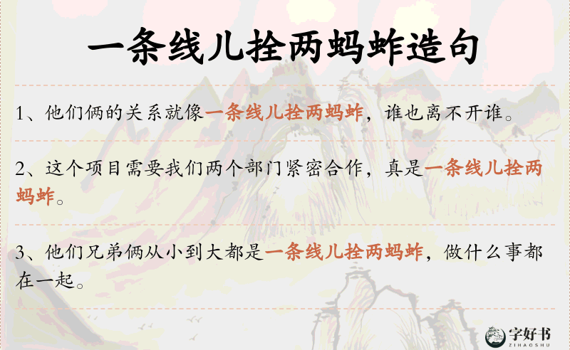 一条线儿拴两蚂蚱