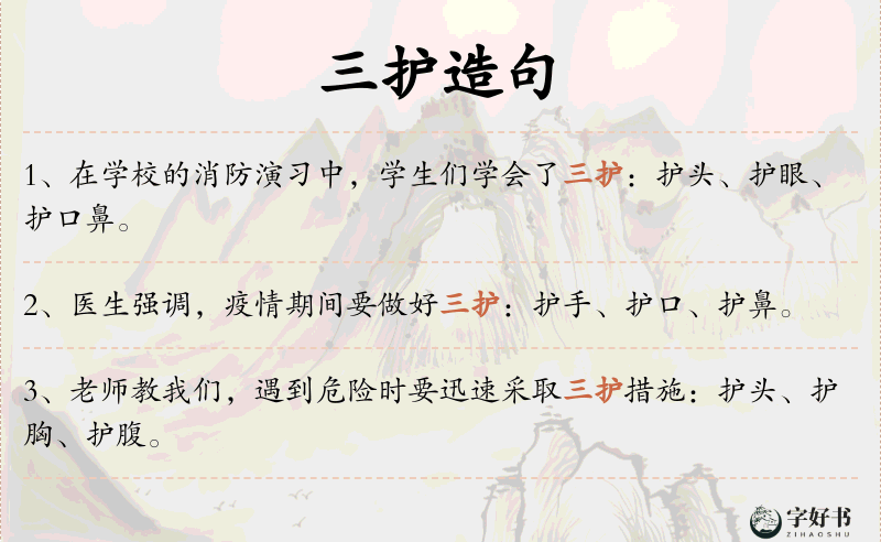 三护