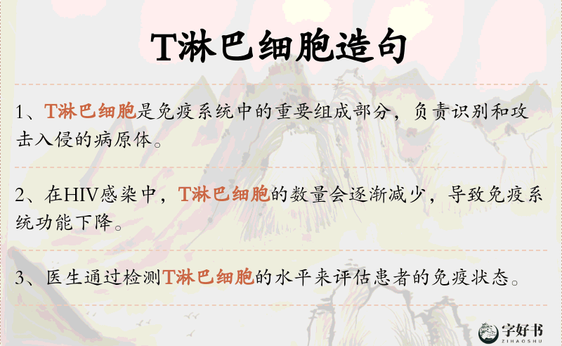 T淋巴细胞