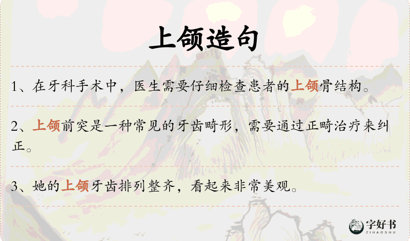 上颌