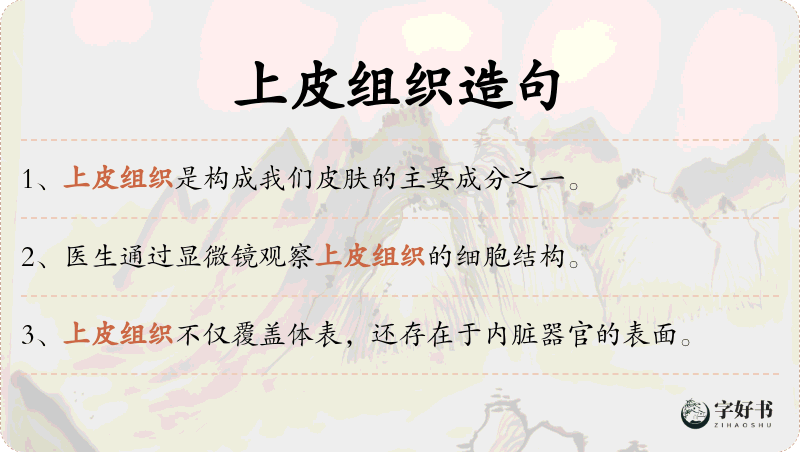 上皮组织