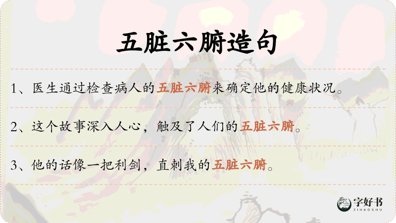 五脏六腑